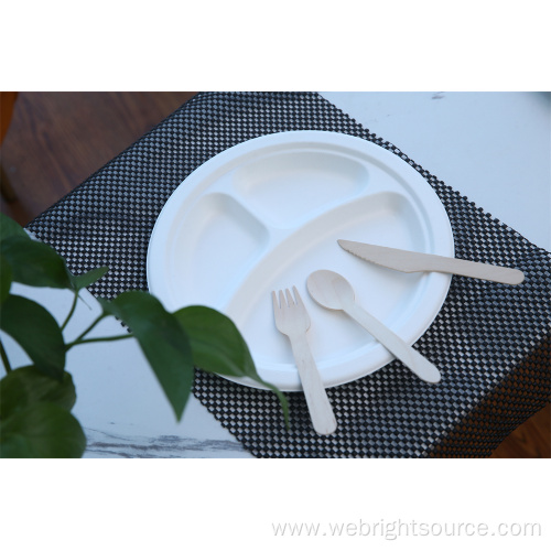 Biodegradable Fruit Paper Plate